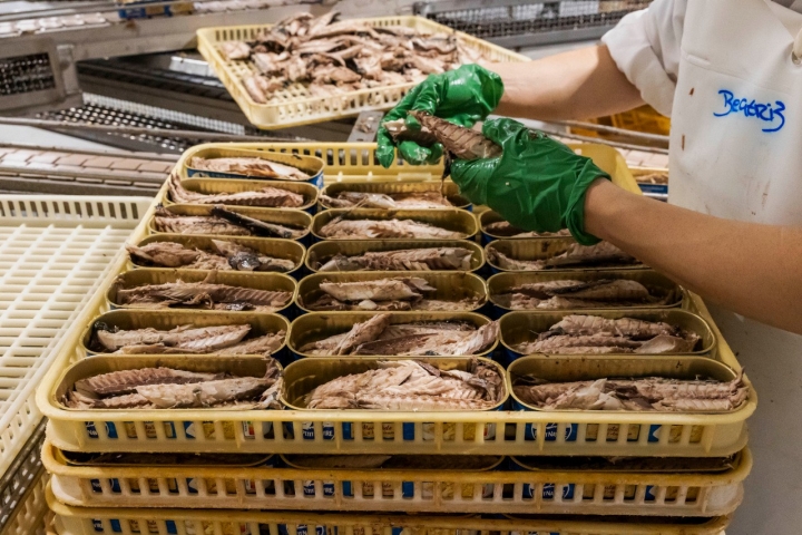 ESIP (European Seafood Investments Portugal) em de Peniche foi fundada em 1915 