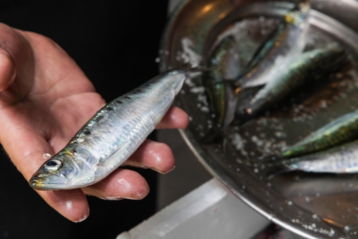 Pequena e gorda, ou grande e escamuda, os fãs de sardinha dividem-se