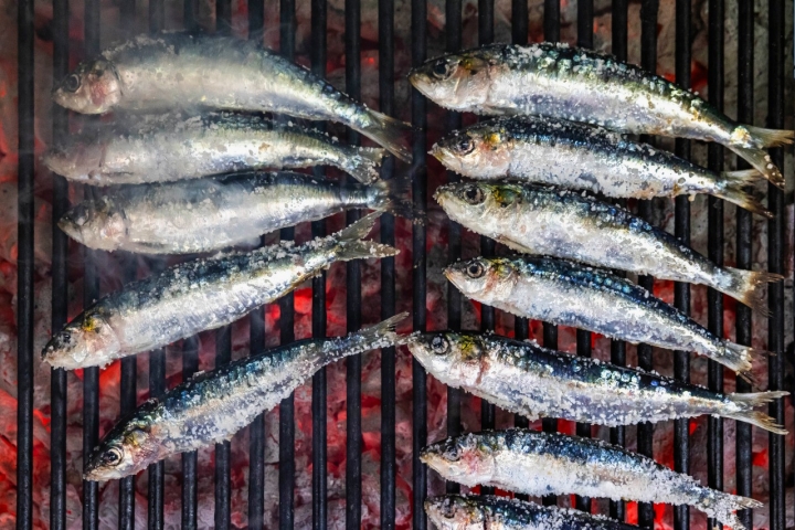 Sesimbra, Sines, Peniche: cidades onde não se passa sem passar por uma sardinhada 
