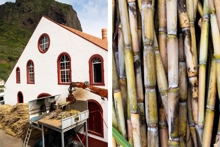 Processamento de cana-de-açúcar na Engenhos do Norte 