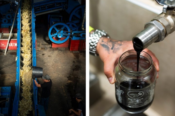 Embalamento do mel de cana, em Ribeiro Sêco, na ilha da Madeira, à direita.