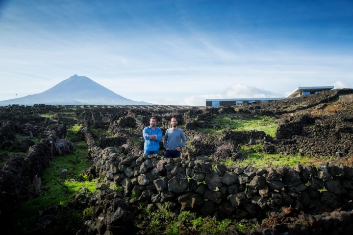 Azores Wine Company e os novos vinhos antigos do Pico