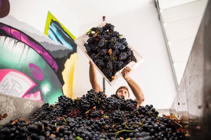 Roteiro de enoturismo