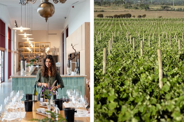 A Adega Vicentino foi inaugurada no final de 2024