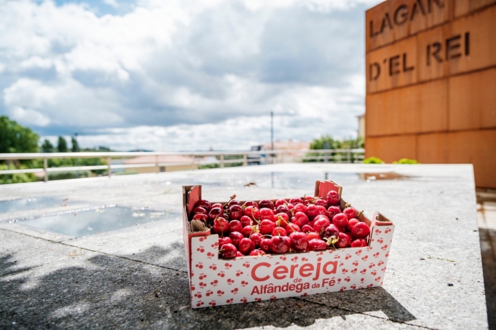 Alfandega da Fé celebra a sua cereja com concertos e outros produtos locais (Foto: Câmara Municipal de Alfândega da Fé)