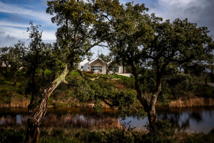 A decoração dos quartos é uma continuação da calma presente em toda a herdade 