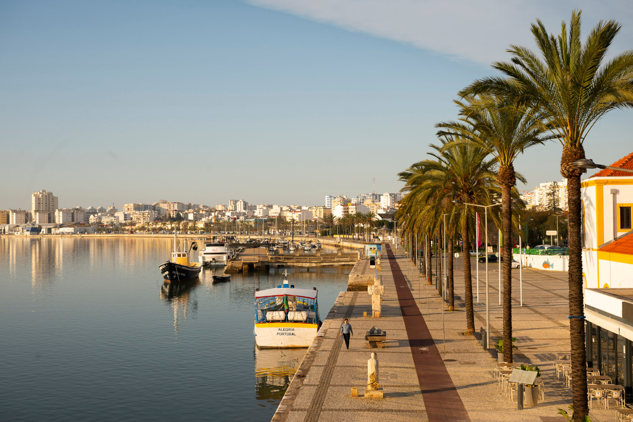À mesa das adegas e restaurantes de Portimão e arredores