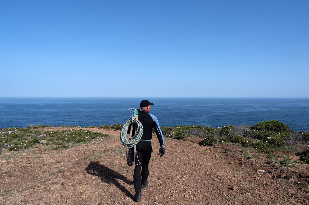 Vila do Bispo: viver perigosamente na capital do percebe 