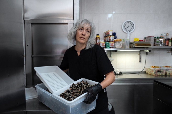 No Ribeira do Poço recebem-se os percebes diretamente do mar 