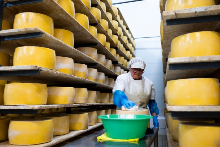 Na terra do leite, procure queijo: três produtores dos Açores 
