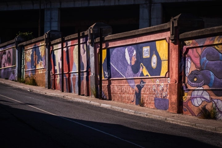 Inaugurados em 2023, os murais coletivos do antigo Matadouro do Porto são da autoria de Sphiza, BrunoAnti,  BrunaBsa, Lia Sabela, Paula Prezende, Duuub e Ines Arisca. A comunidade também se envolveu no projecto, com a participação dos alunos da Escola do Cerco 