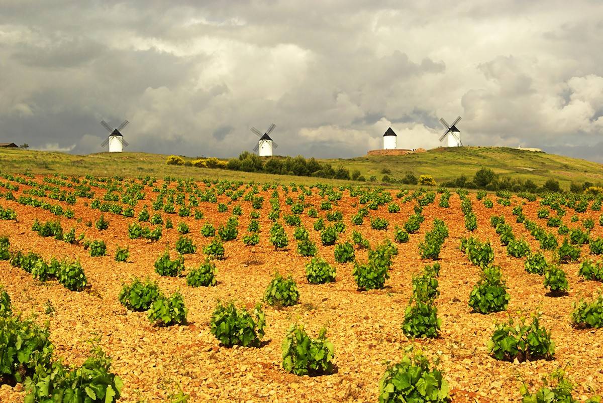 Viñedos y molinos de Castilla La Mancha.