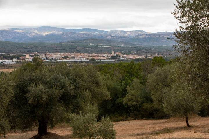 Y al fondo, San Mateu.