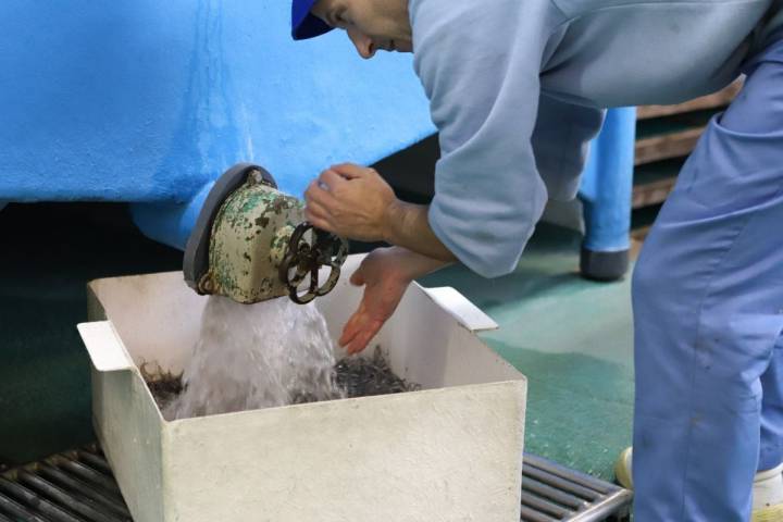 Sumergidas en agua y sin ningún añadido, para que mantengan su sabor.