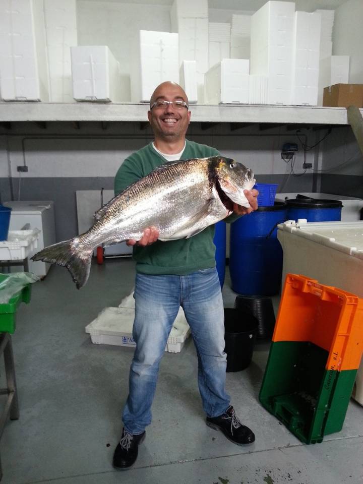 El día de faena deja capturas como esta dorada de nueve kilos. Foto: Artesans.