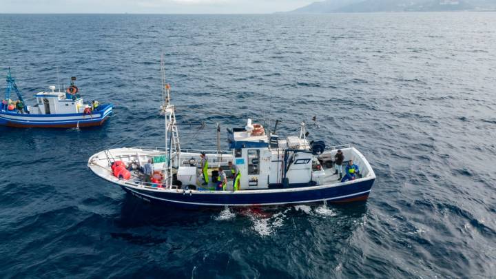  JC Mackintosh, pesca sostenible del atún rojo