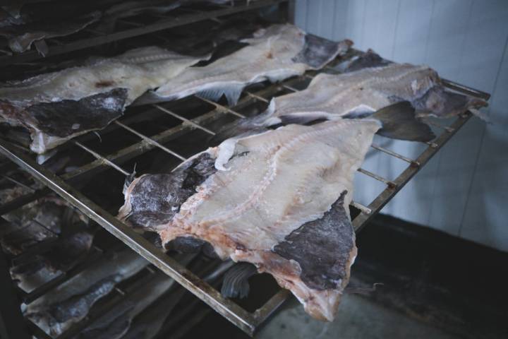 Bacalao túnel secado