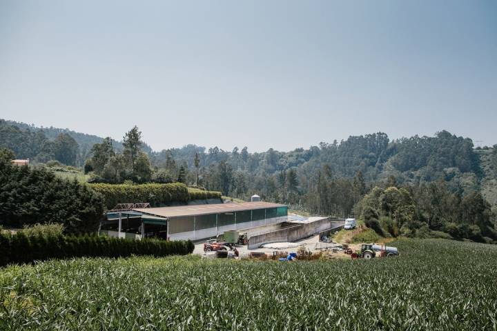 Granxa O Cancelo: una fábrica en un paisaje de cuento.