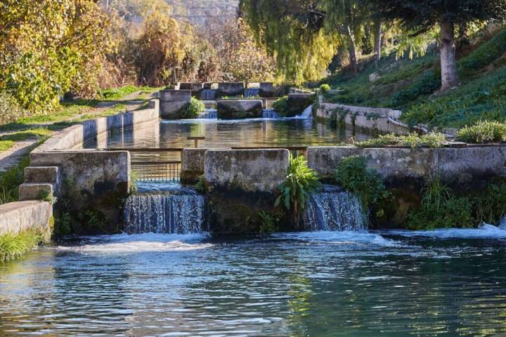 Caviar 'Riofrío': piscinas