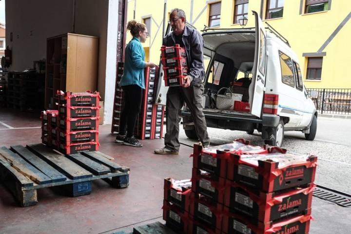 El productor Rafael Martín Sevillano entrega en la cooperativa las cerezas del día.