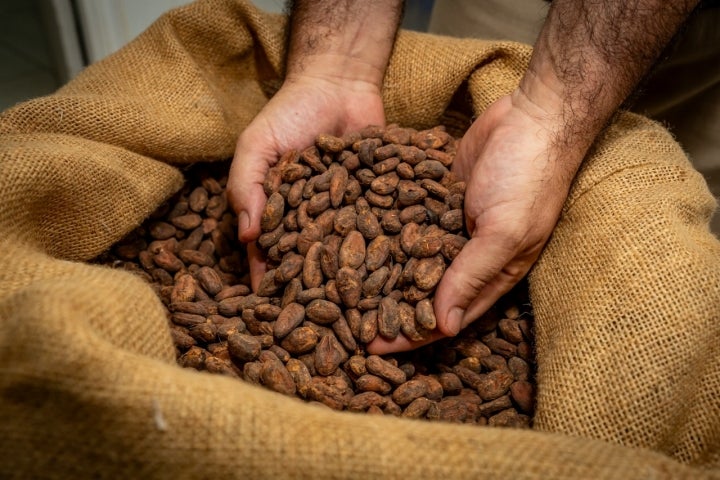 Trabajan con cacao fino de aroma, una variedad de alta calidad.