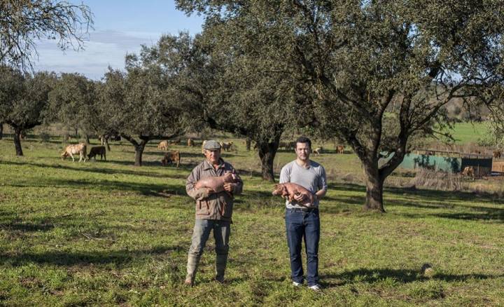 Joaquín junto a Manuel y sus cochinillos