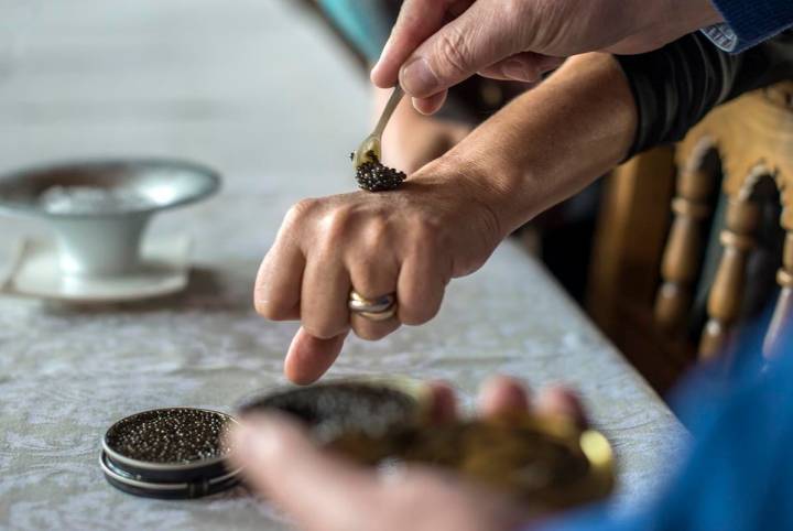 Sirviendo el caviar con una cuchara de nácar.