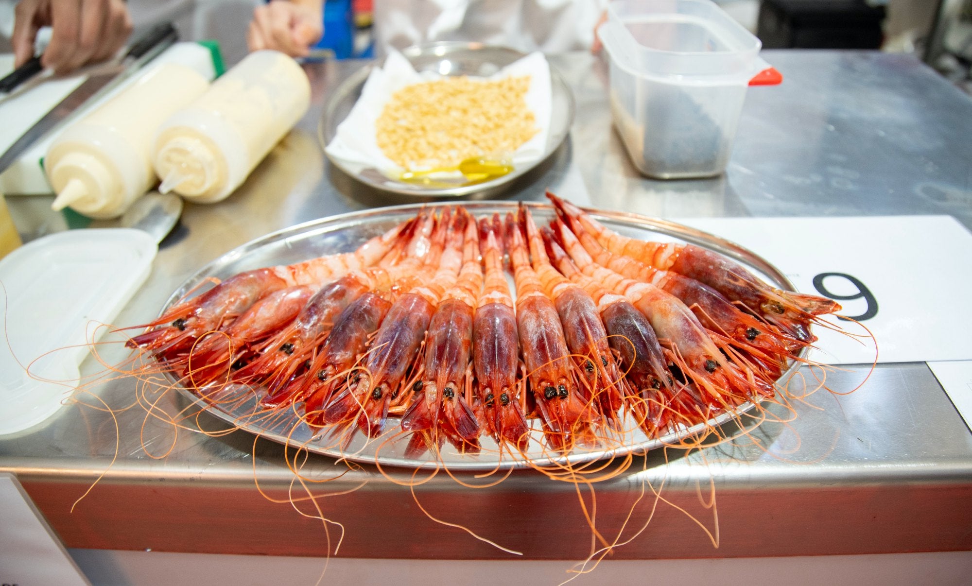 Gamba roja en el Concurso Internacional de gamba roja de Denia