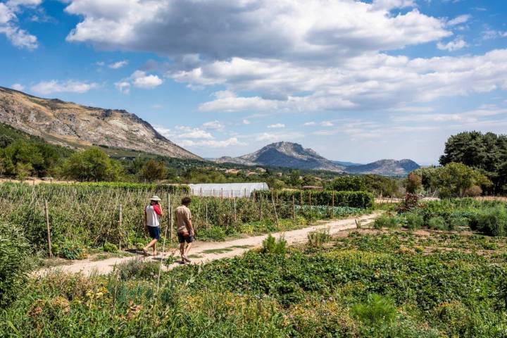 Un relajante paseo por la huerta.