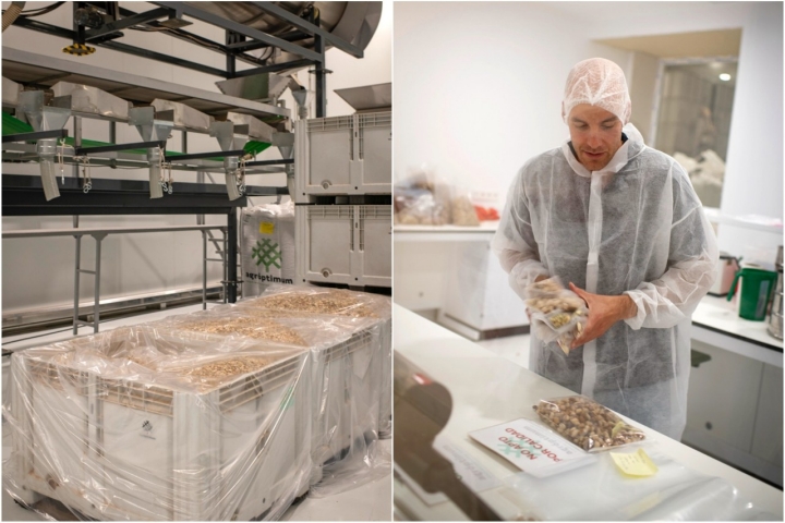 Montaje de dos imágenes en la procesadora de pistachos: una de la mercancía y otra del control de calidad.