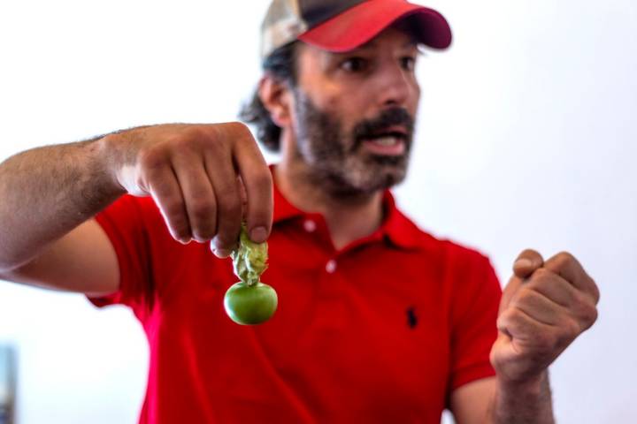 El Colmado del Tomate