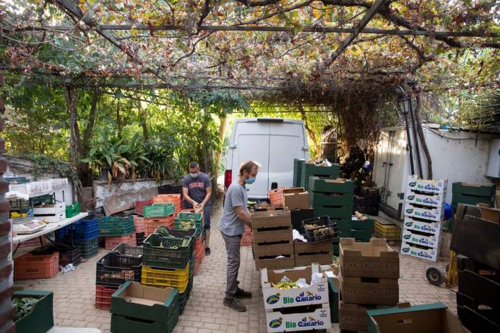 Huerta Familia Hevilla. Organizando los pedidos