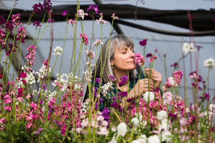 Laura Carrera, en su invernadero de flores Innoflower