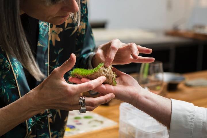 Teff de 'Gente Rara', uno de los aperitivos