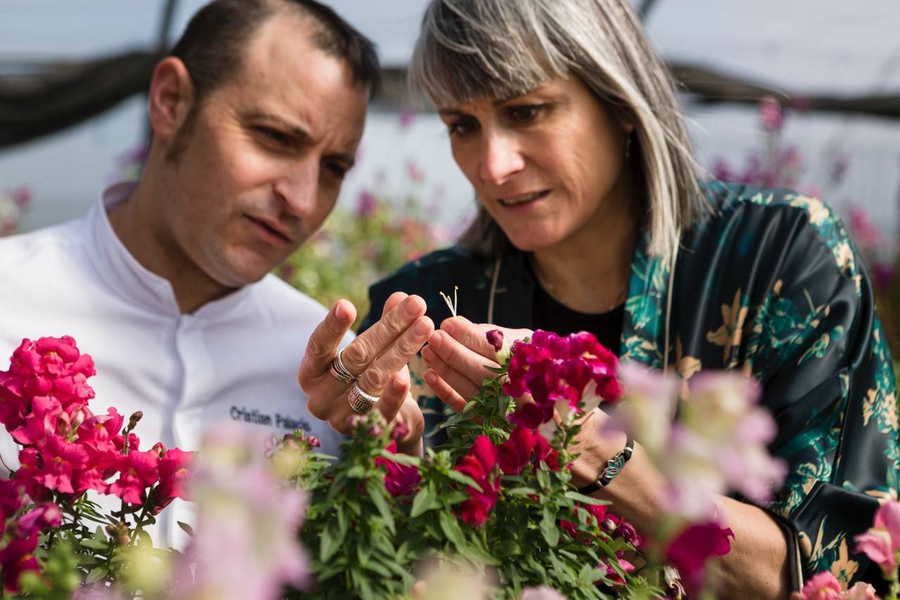 Llega la primavera y  apetecen flores en el plato