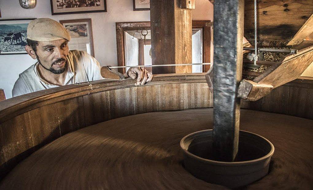 Los molinos que vuelan en Fuerteventura