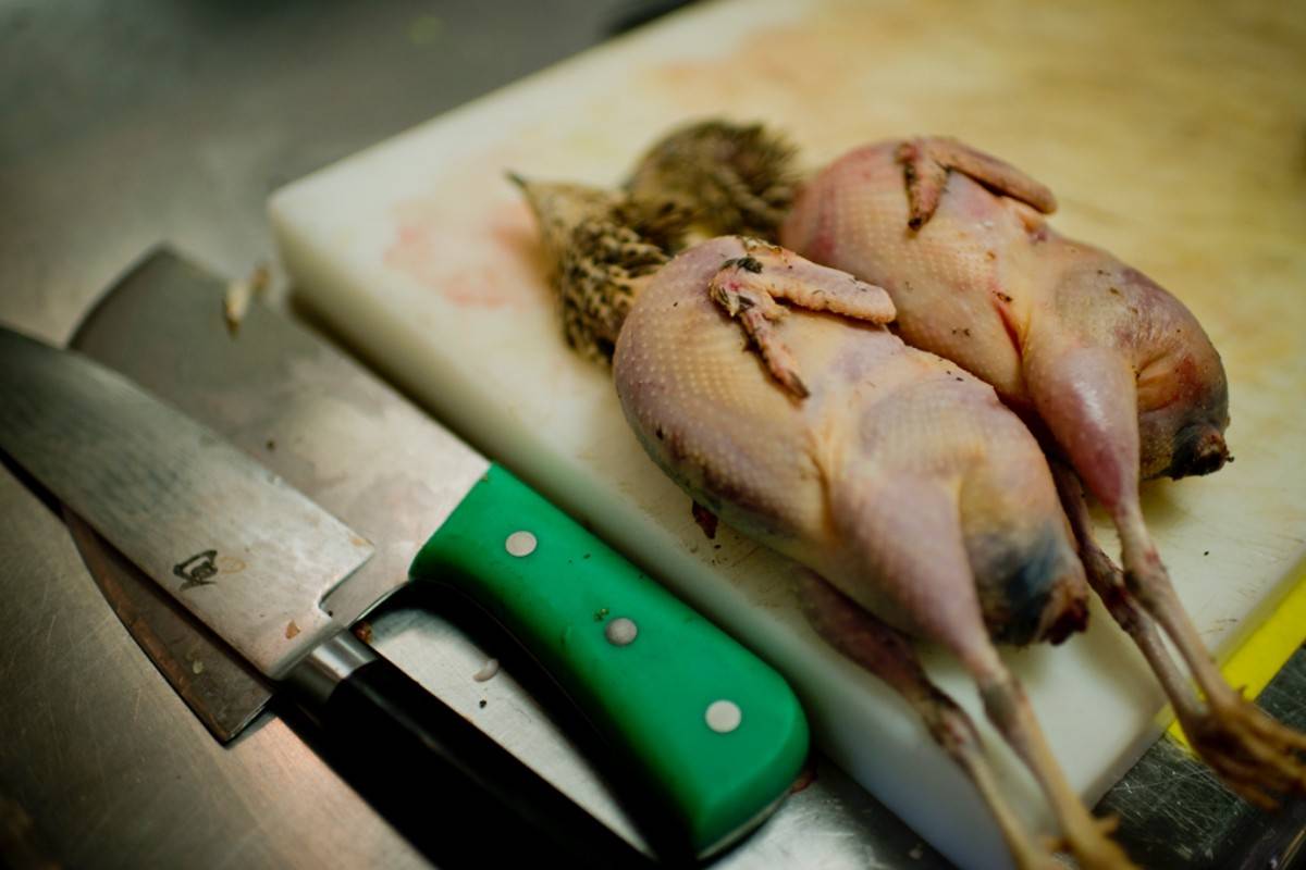 Codornices ortolans, perfectas para madurar. Aquí, en la cocina de 'Membibre'. Foto: Sofía Moro.