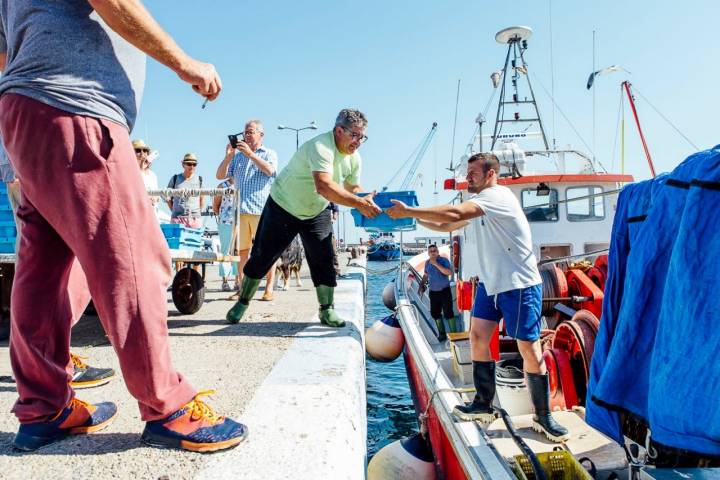 Los barcos que salen de madrugada a faenar llegan al puerto antes de las 18 horas, ante la atenta mirada de los curiosos.