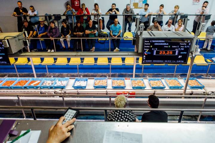 Compradores y espectadores se mezclan en la zona de subasta de la lonja.