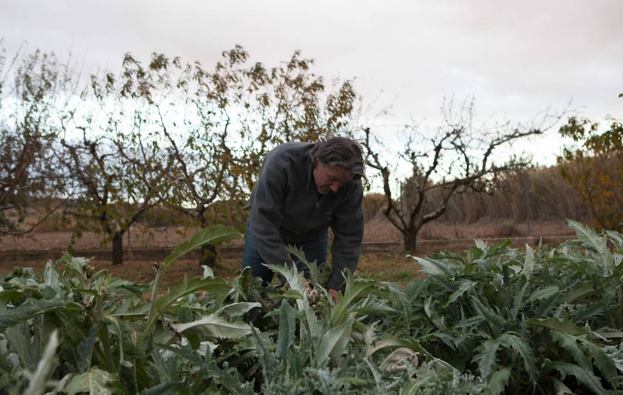 El invierno le sienta muy bien a la huerta tudelana