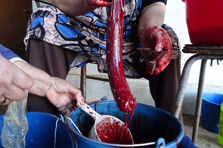 Embuchando la mondoga en la matanza del cerdo ibérico en Puebla de Sancho Pérez, Badajoz.