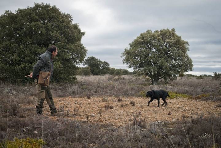 José Luis pasea por el monte junto a Pinto, un Golden negro con cruce de labrador de dos años.