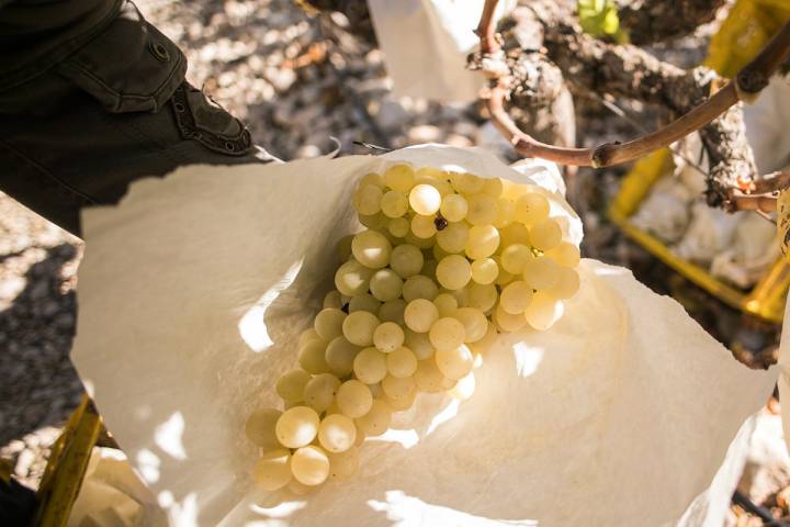 Las uvas que nos traerán la suerte.