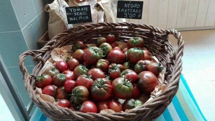 Tomates del colectivo 'Xebre'.