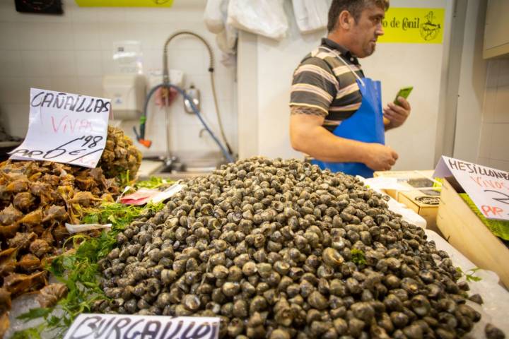 Mercado de Abastos de Cádiz