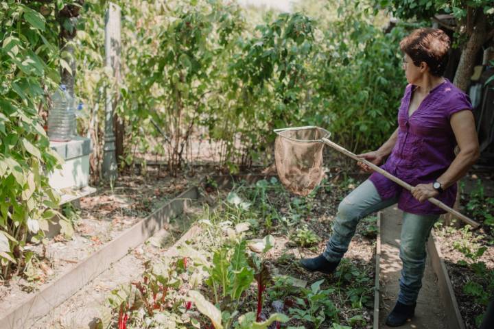 Adelina en su huerta ecológica de O Grove. Foto: Nuria Sambade Nieto.