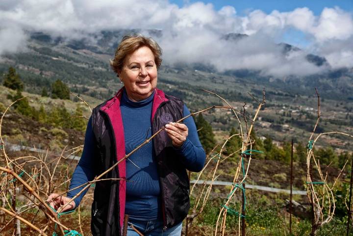 Carmen Gloria Ferrera acariciando su viñedo. Foto: Roberto Ranero.