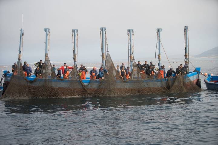 La tripulación inicia el operativo desde este barco, luego se distribuirán por el resto.