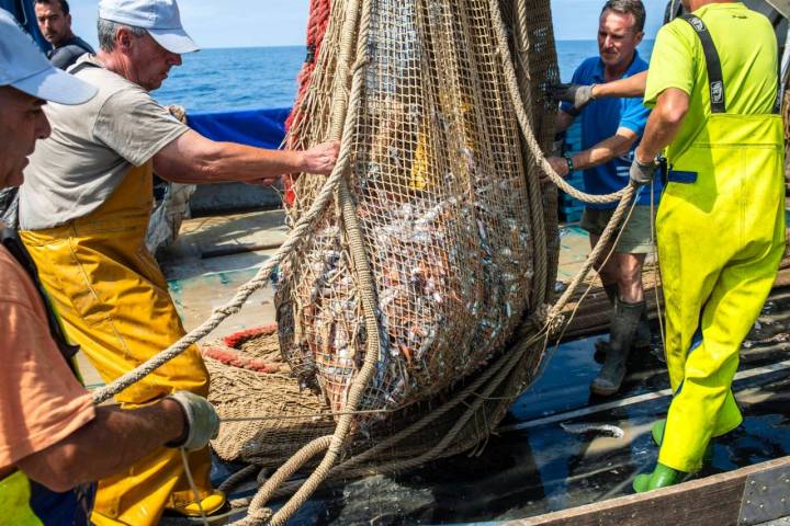 Pesca-turismo en el Grau (Castellón): recogida del copo