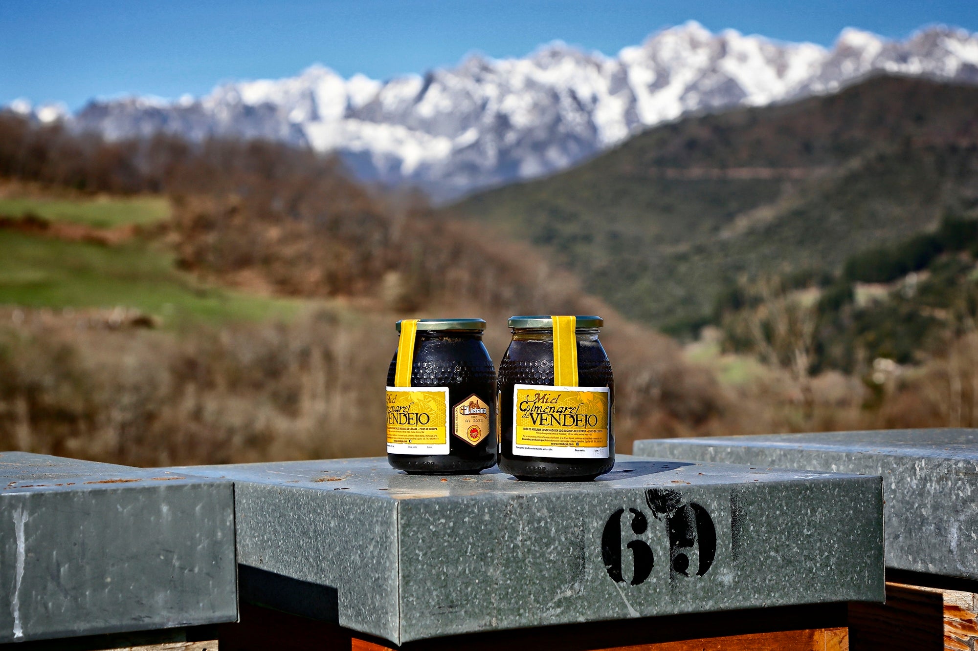 Productores de Cantabria mieles ‘Colmenares de Vendejo’